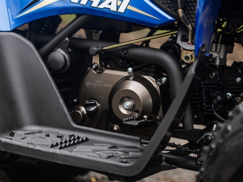 ATV 110