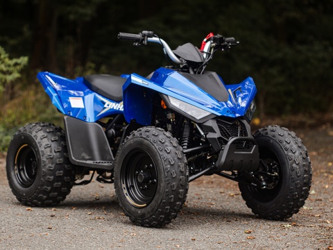 ATV 110