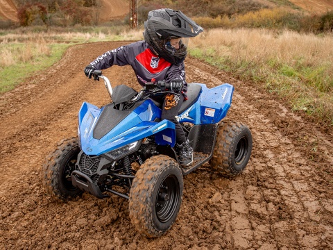 ATV 110