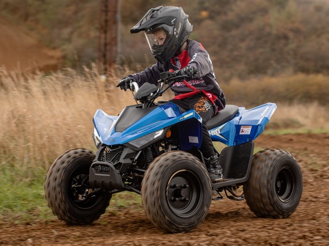 ATV 110