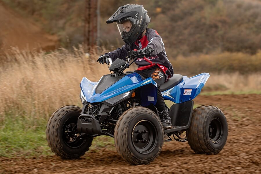 ATV 110