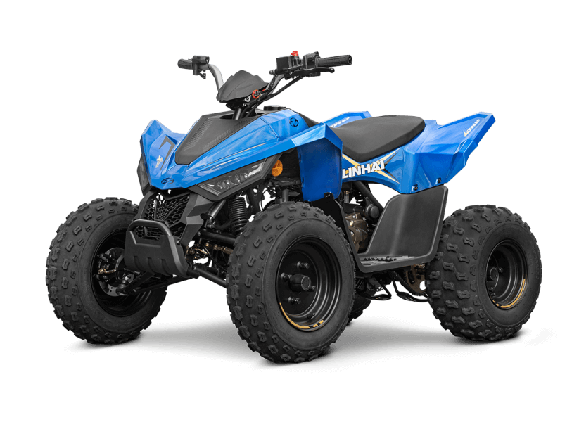 ATV 110
