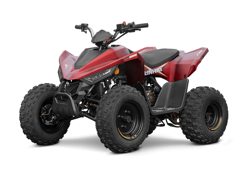 ATV 110