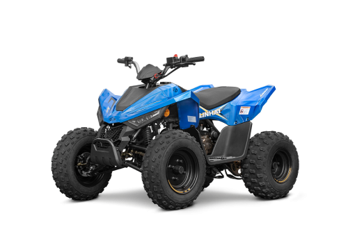 ATV 110
