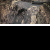 Camo/Black